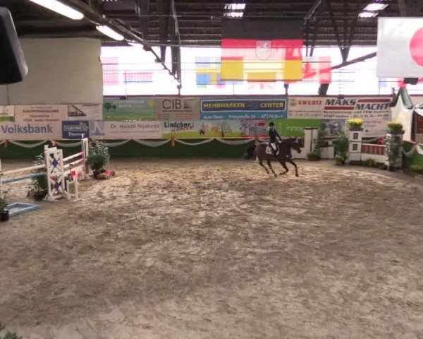 Reitturnier Keppeln  - Reitanlage "Hötzenhof" 2017
