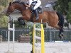 jumper Finja 123 (Hanoverian, 2008, from Fabriano)