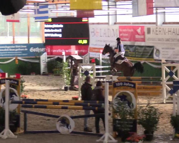 Reitturnier Keppeln  - Reitanlage "Hötzenhof" 2017