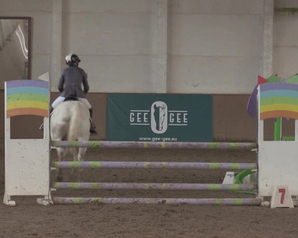 Christmas Jumping Trophy Prussendorf 2021