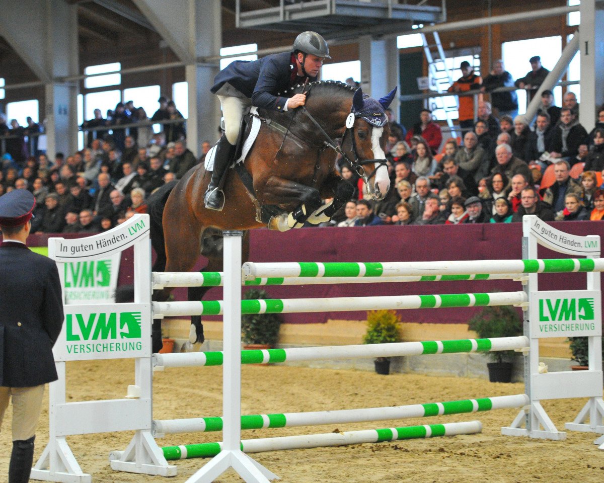 Deckhengst Captain Olympic (Bayer, 2009, von Captain Fire)