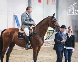 Springpferd Linkolns (Litauer Warmblut, 2007, von Louis J)