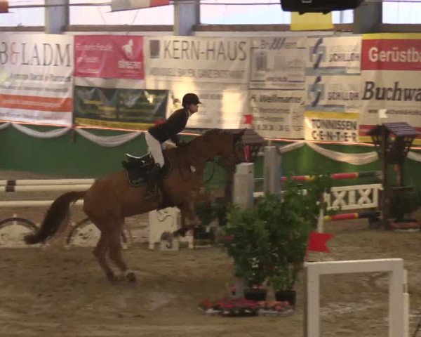 Reitturnier Keppeln  - Reitanlage "Hötzenhof" 2017