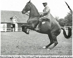 Pferd Fanal (Trakehner, 1934, von Hausfreund)