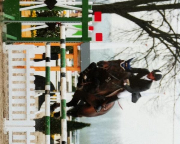 horse Corallo ZP (Holsteiner, 1999, from Coriano)