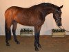 broodmare Barilla (Zweibrücken, 2011, from Bonifatius)