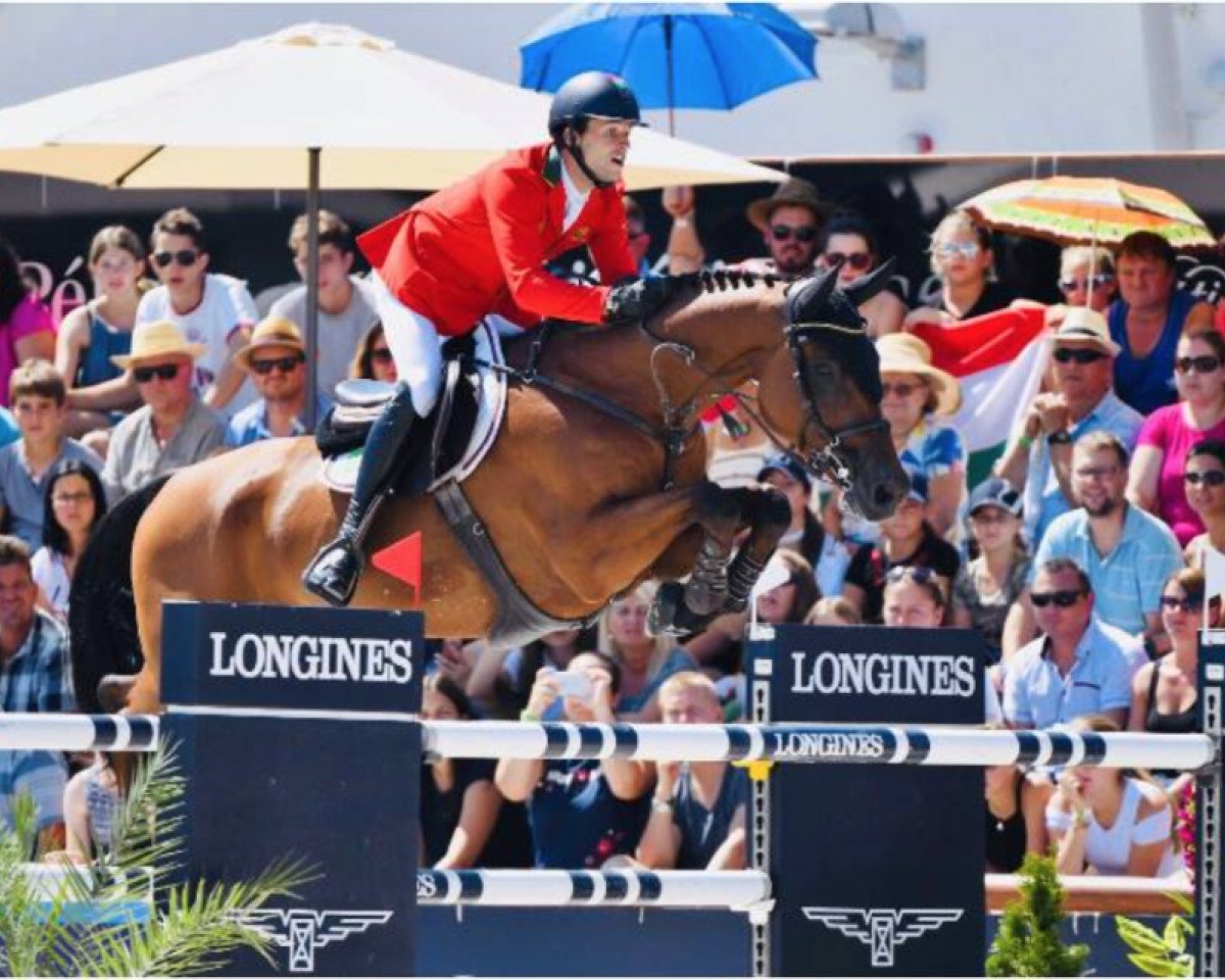 Springpferd GC Chopin'S Bushi (KWPN (Niederländisches Warmblut), 2006, von Contendro II)