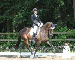 broodmare Warilla (KWPN (Royal Dutch Sporthorse), 2003, from Jazz)