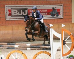 jumper Elegance 47 (Irish Sport Horse, 2008, from Amber Glen)