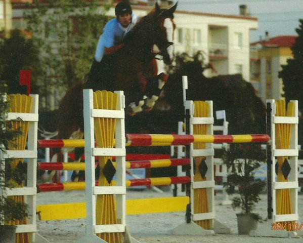 Pferd Athina (Belgisches Warmblut, 2000, von Eros Platiere)