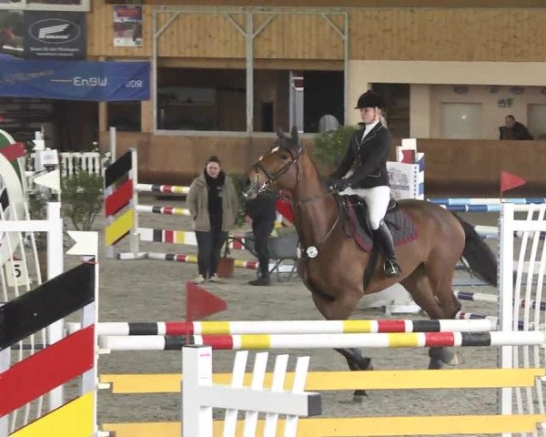 Reitturnier Dettingen 2017
