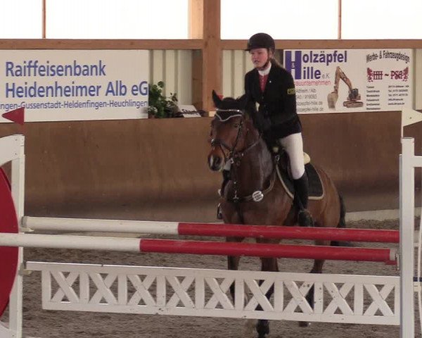 Reitturnier Dettingen 2017