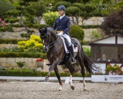 stallion Thiago GS OLD (Oldenburg, 2013, from Totilas)