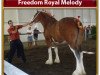 broodmare Freedom Royal Melody (Clydesdale, 2007, from Hillmoor Landmark)