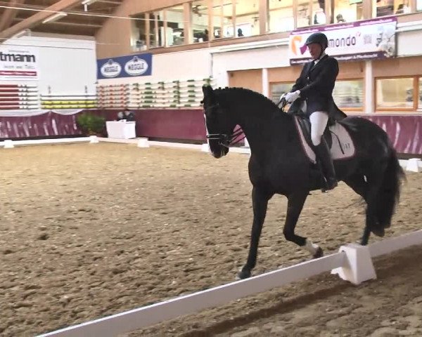 Reitturnier Eicherloh RH Laurent 2017
