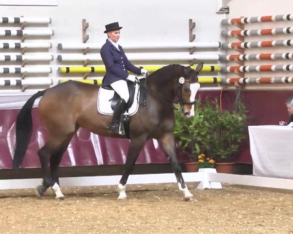 Reitturnier Eicherloh RH Laurent 2017