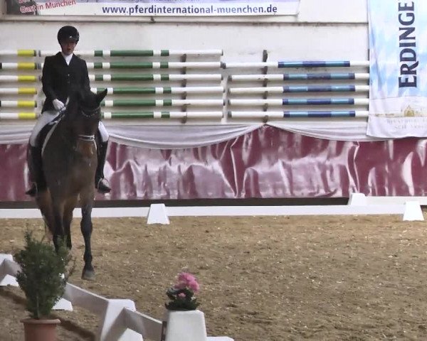 Reitturnier Eicherloh RH Laurent 2017