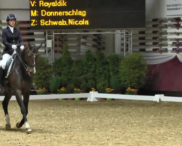 Reitturnier Eicherloh RH Laurent 2017
