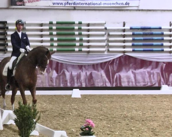 Reitturnier Eicherloh RH Laurent 2017