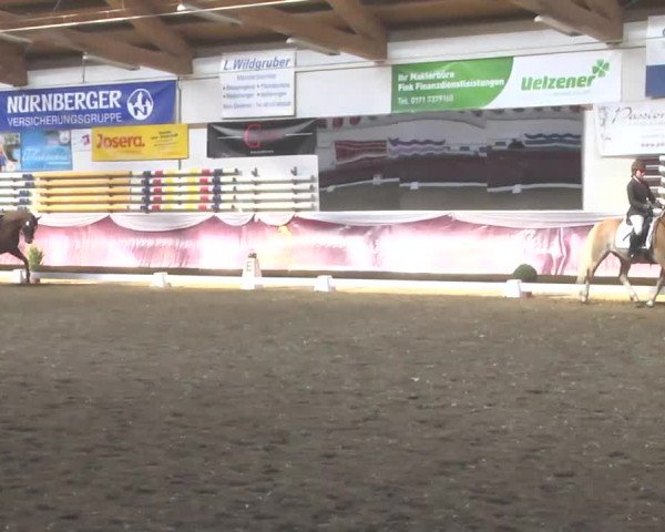 Reitturnier Eicherloh RH Laurent 2017