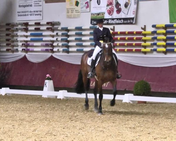 Reitturnier Eicherloh RH Laurent 2017