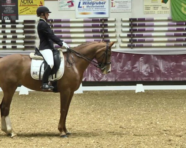 Reitturnier Eicherloh RH Laurent 2017