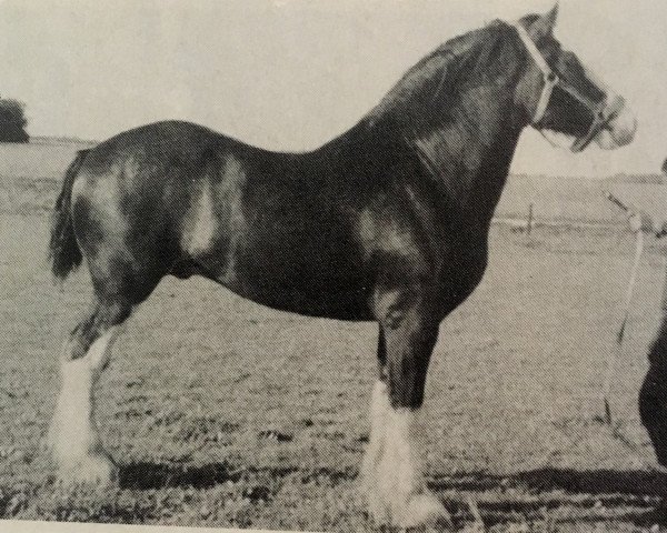 Deckhengst Everlasting's Hero (Clydesdale, 1987, von Bardrill Everlasting)