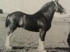 stallion Everlasting's Hero (Clydesdale, 1987, from Bardrill Everlasting)