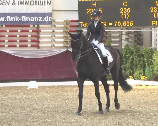 Reitturnier Eicherloh RH Laurent 2017