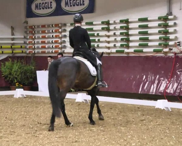 Reitturnier Eicherloh RH Laurent 2017