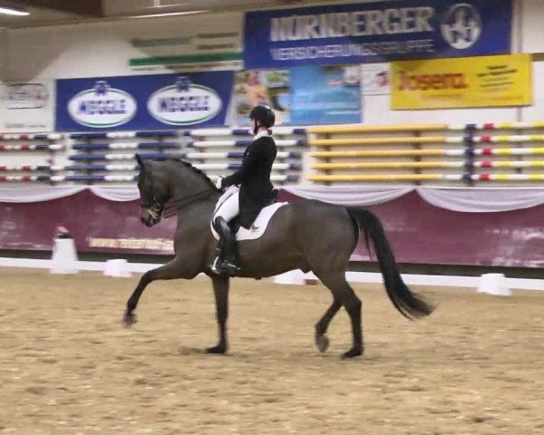 Reitturnier Eicherloh RH Laurent 2017