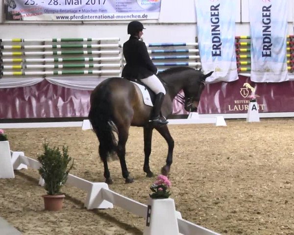 Reitturnier Eicherloh RH Laurent 2017