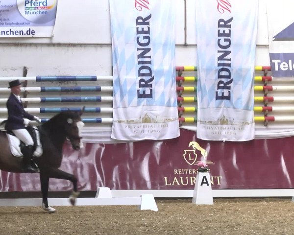 Reitturnier Eicherloh RH Laurent 2017