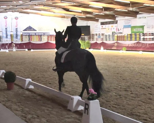 Reitturnier Eicherloh RH Laurent 2017