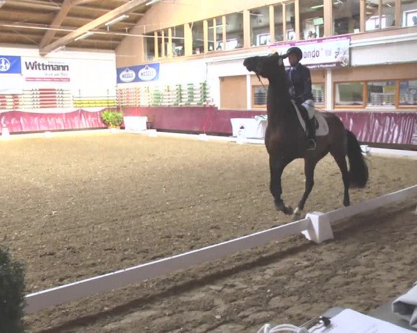 Reitturnier Eicherloh RH Laurent 2017