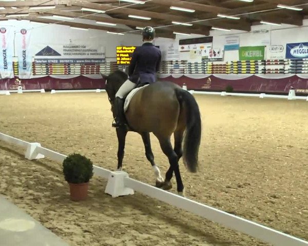 Reitturnier Eicherloh RH Laurent 2017