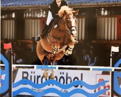 broodmare Casamia 4 (Oldenburg show jumper, 2007, from Champion For Pleasure)