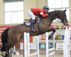 horse Fuvuzela (KWPN (Royal Dutch Sporthorse), 2010, from Cantus)