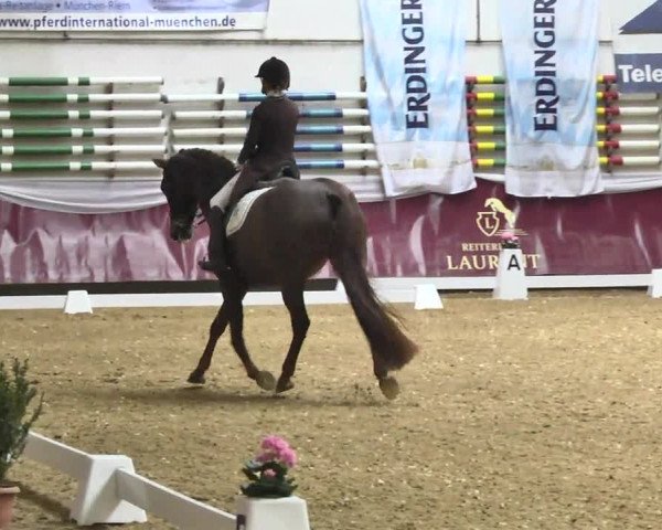 Reitturnier Eicherloh RH Laurent 2017
