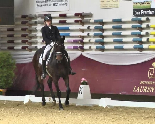 Reitturnier Eicherloh RH Laurent 2017