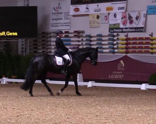 Reitturnier Eicherloh RH Laurent 2017