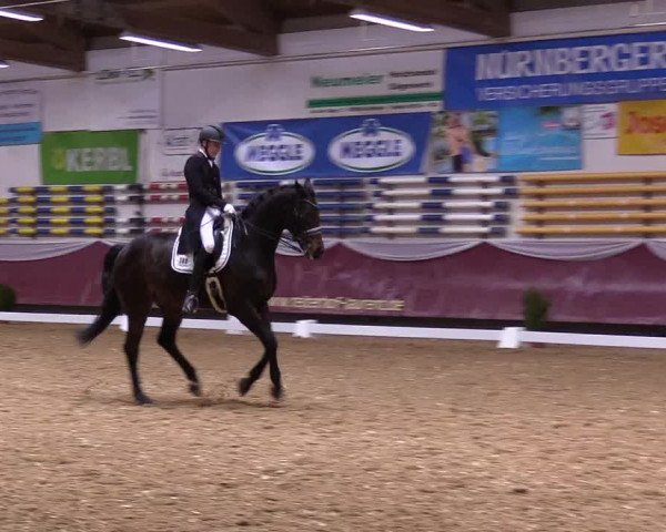 Reitturnier Eicherloh RH Laurent 2017