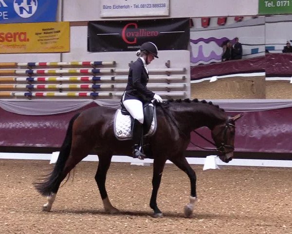 Reitturnier Eicherloh RH Laurent 2017