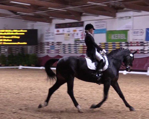 Reitturnier Eicherloh RH Laurent 2017