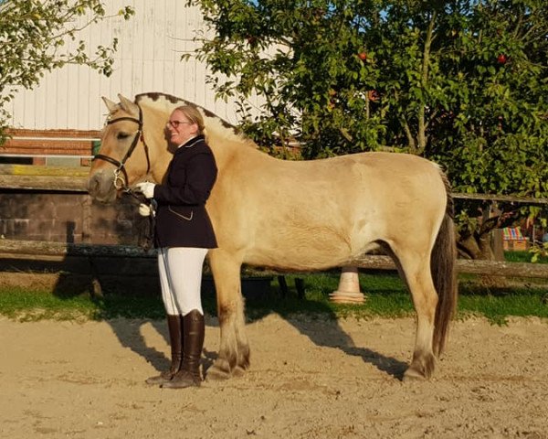 horse Klosterhof's Prinzessin (Fjord Horse, 2008, from Resen N.2673)