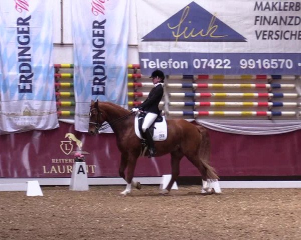 Reitturnier Eicherloh RH Laurent 2017
