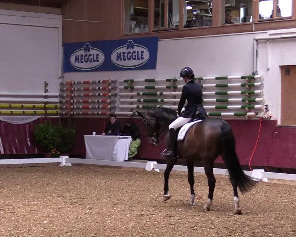 Reitturnier Eicherloh RH Laurent 2017