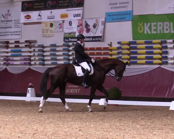 Reitturnier Eicherloh RH Laurent 2017