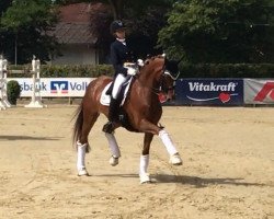 dressage horse Guapa 20 (Bayer, 2009, from Belissimo NRW)