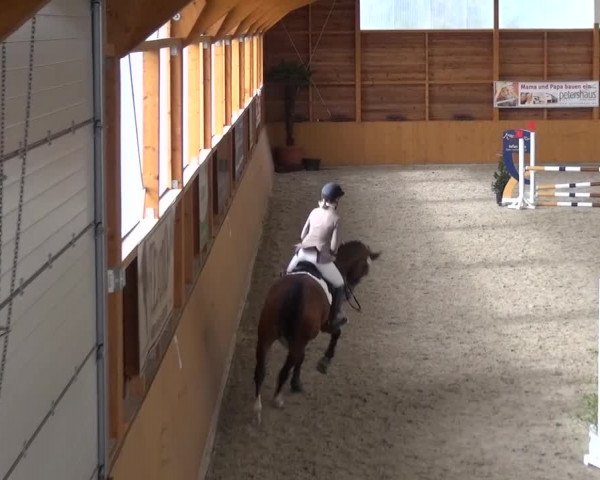 Reitturnier Xanten 2017